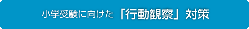 附属札幌小入試へ向けた「行動観察」対策