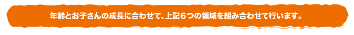 年齢とお子さんの成長に合わせて、上記６つの領域を組み合わせて行います。