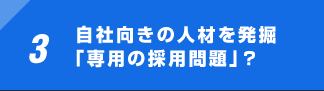 3 自社向きの人材を発掘「専用の採用問題」？