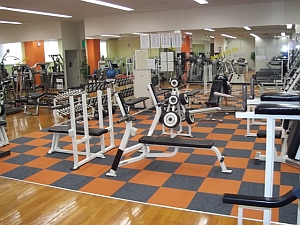 zip_a_gym3