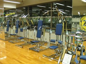 zip_h_gym11