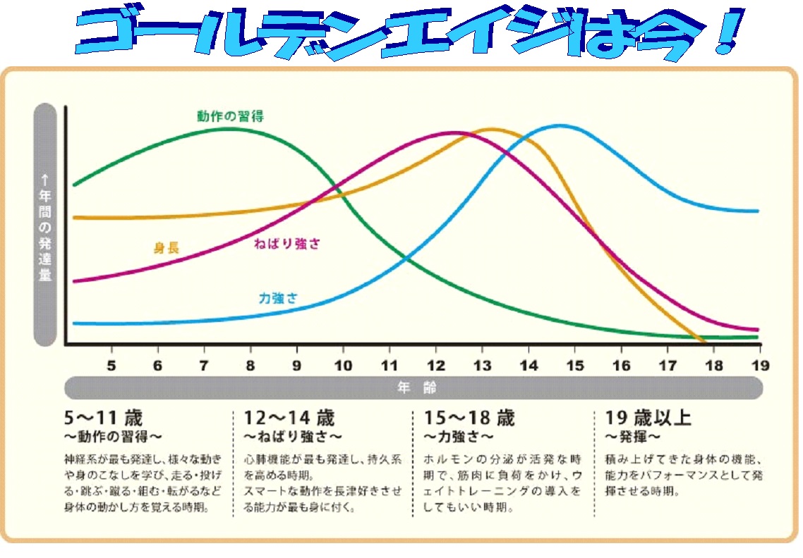 小学生向け 夏休み短期 運動能力向上 の3教室 スポーツクラブzip 小学生向け 夏休み短期 運動能力向上 の3教室 スポーツクラブzip