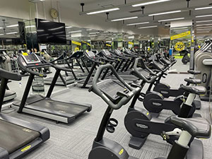 zip_h_gym11